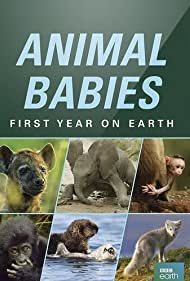 Animal Babies: First Year on Earth (2019)